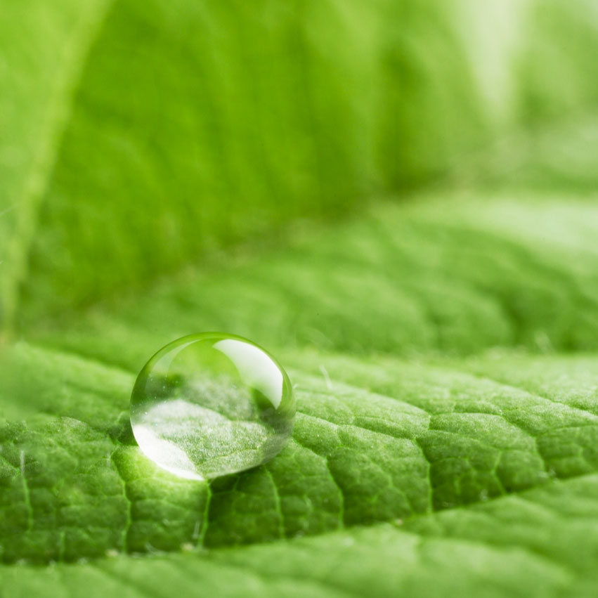 colle-green-quadro-851x851