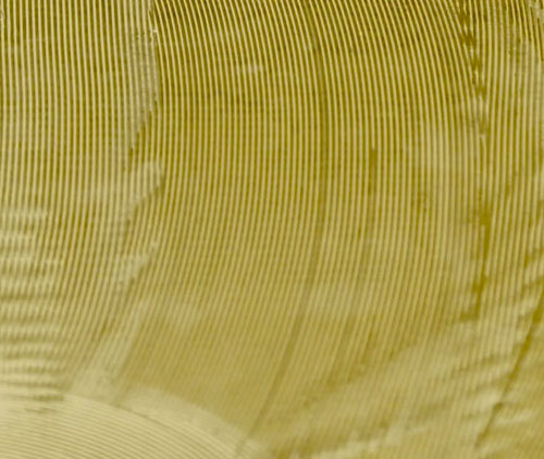 colle-neopreniche-500x422