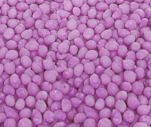 colle-pulitori1-500x422