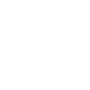 ico-custom-white ico-custom-white