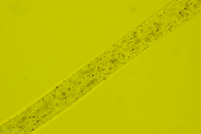 bg-box-banner-00